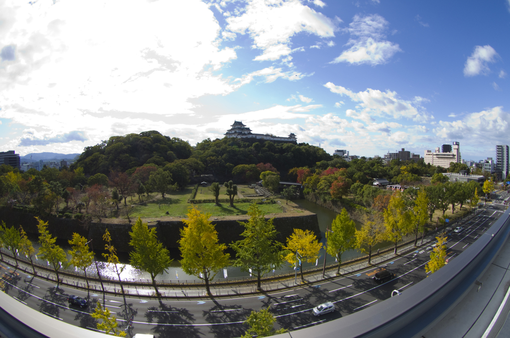 和歌山城　そろそろ紅葉が