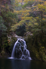 千手滝と紅葉