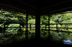 緑の平行世界
