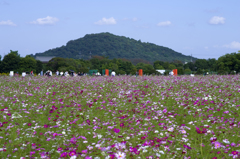 雲と秋桜と耳成山#1