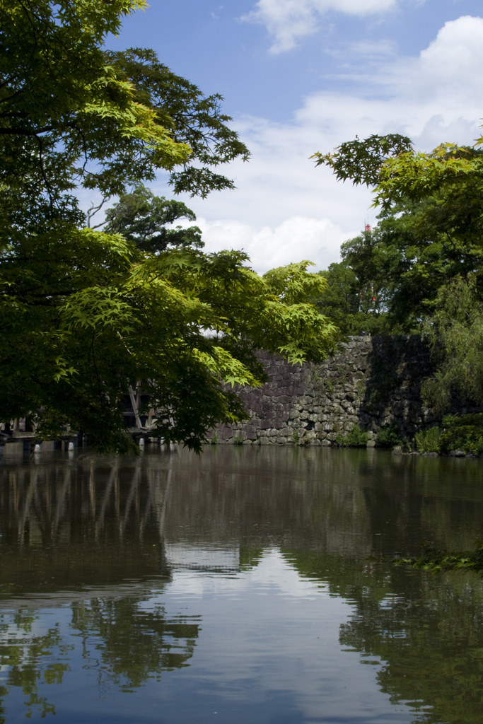 新緑の和歌山城 #3