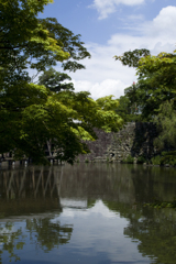 新緑の和歌山城 #3