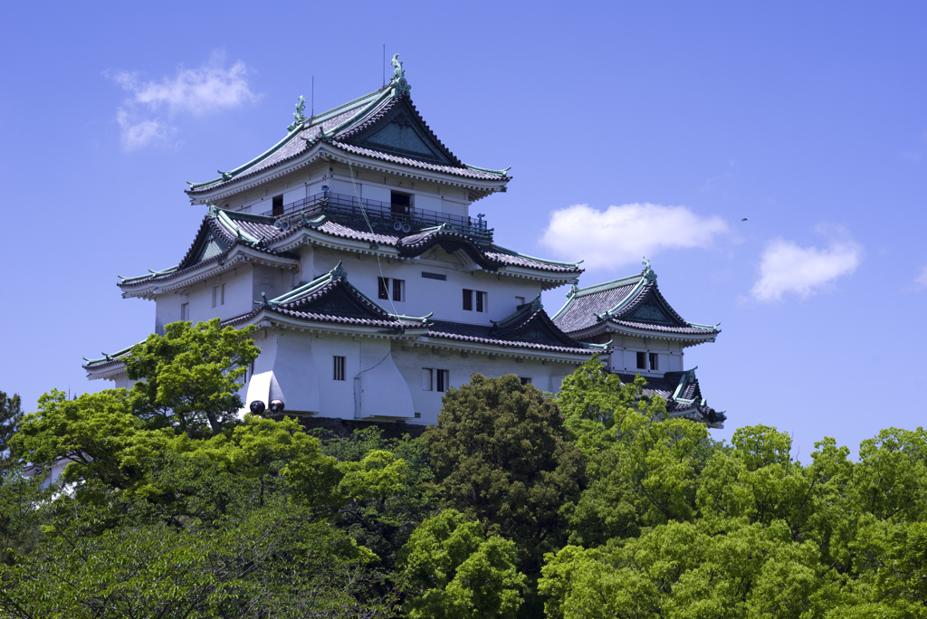 和歌山城　新緑