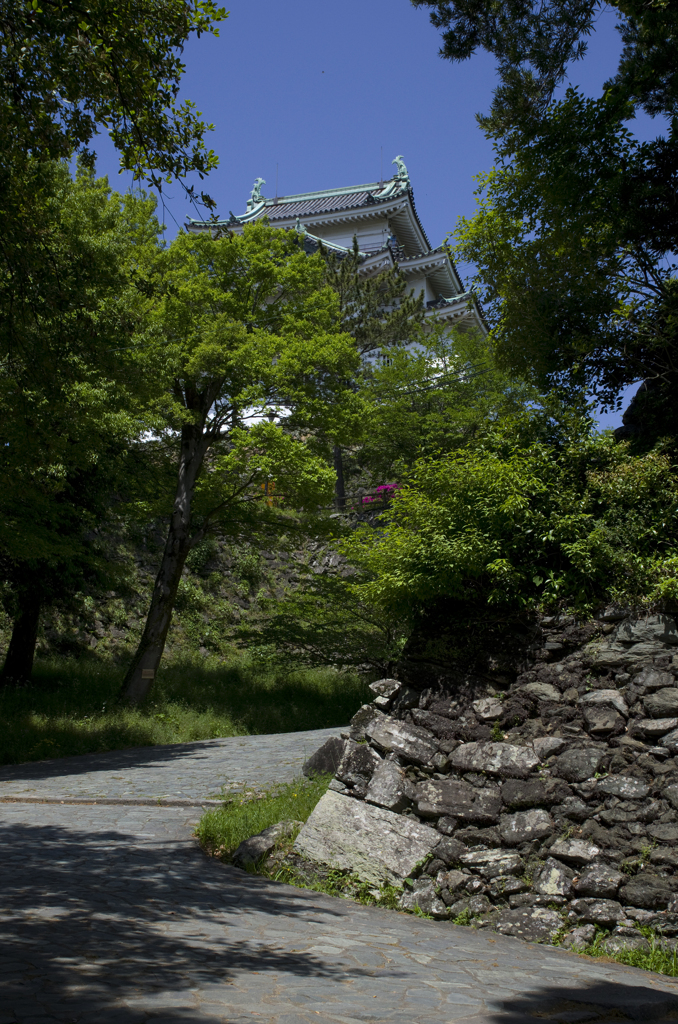新緑の和歌山城　其の五