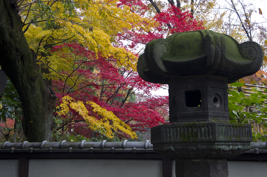 上野東照宮紅葉