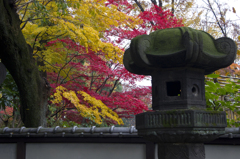 上野東照宮紅葉