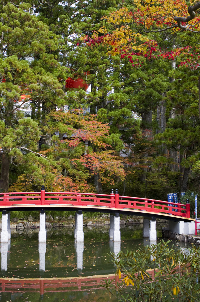 高野山の紅葉