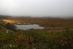 八島ヶ原湿原