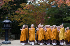 紅葉　高野山