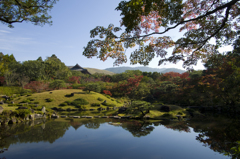 奈良の秋はリフレクション