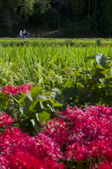 明日香巡りはBikeでゴー！