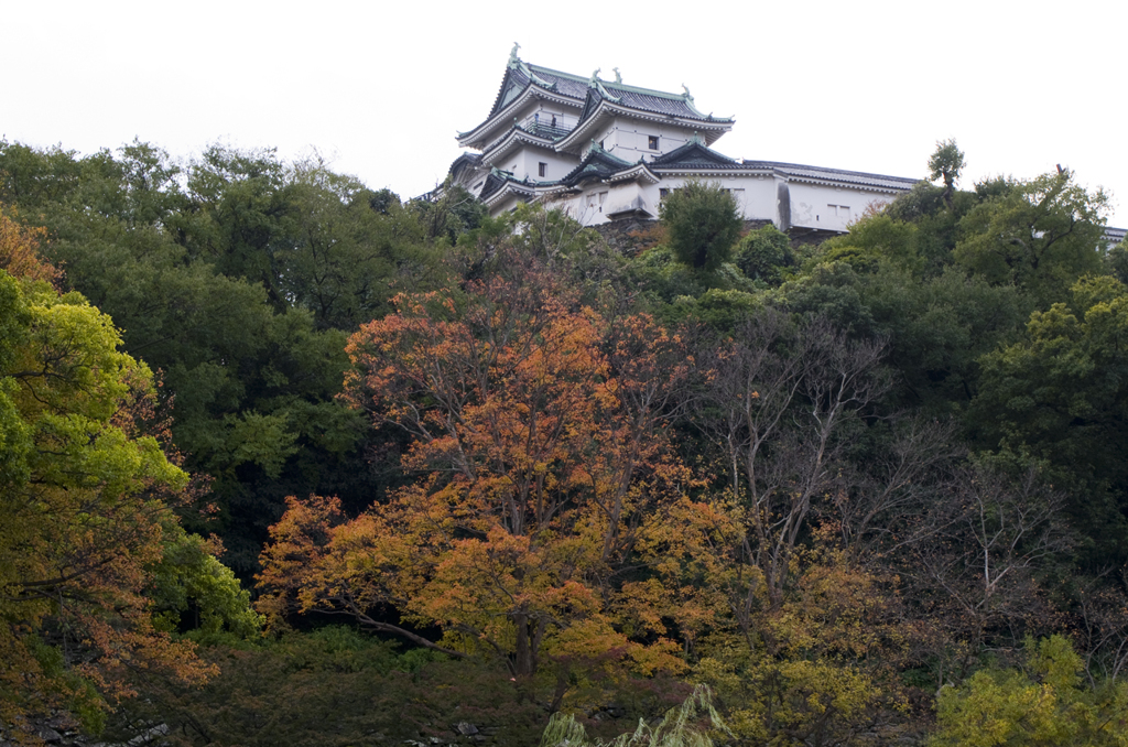 和歌山城紅葉渓#2