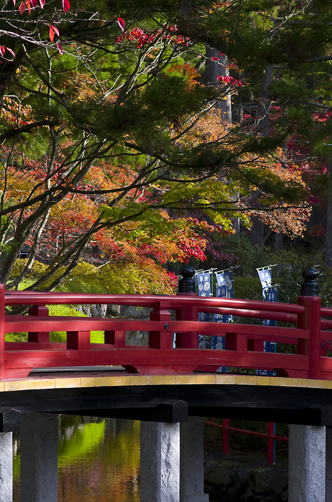 高野山の紅葉#1