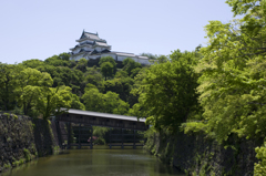 新緑の和歌山城　其の十一