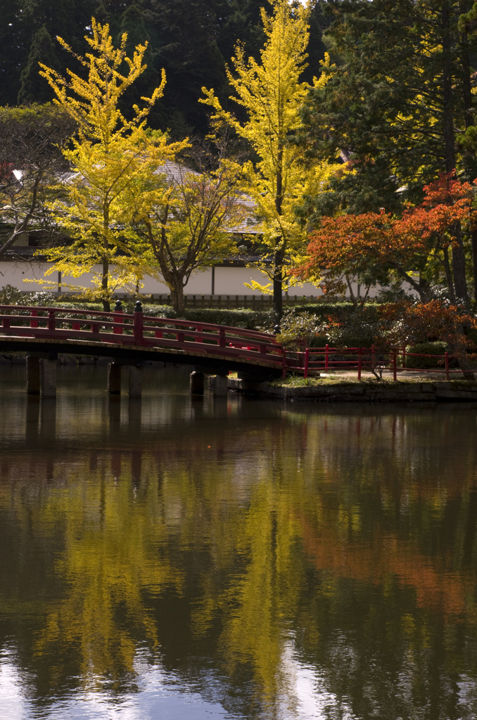 高野山の紅葉#4