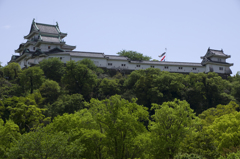 新緑の和歌山城