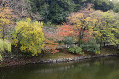 和歌山城紅葉渓#1