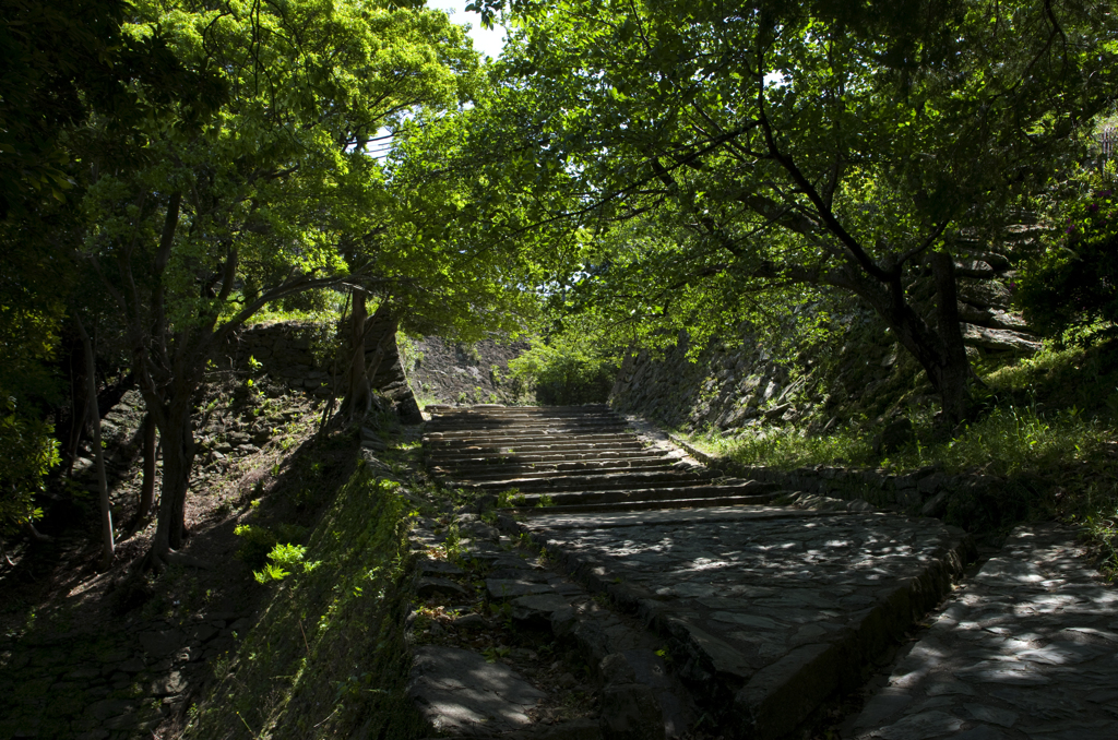 新緑の和歌山城　其の七