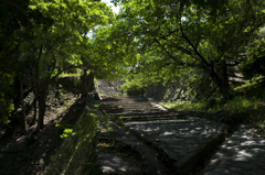 新緑の和歌山城　其の七
