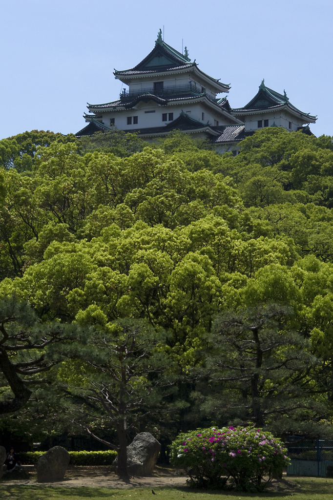新緑の和歌山城#7