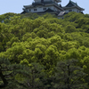 新緑の和歌山城#7