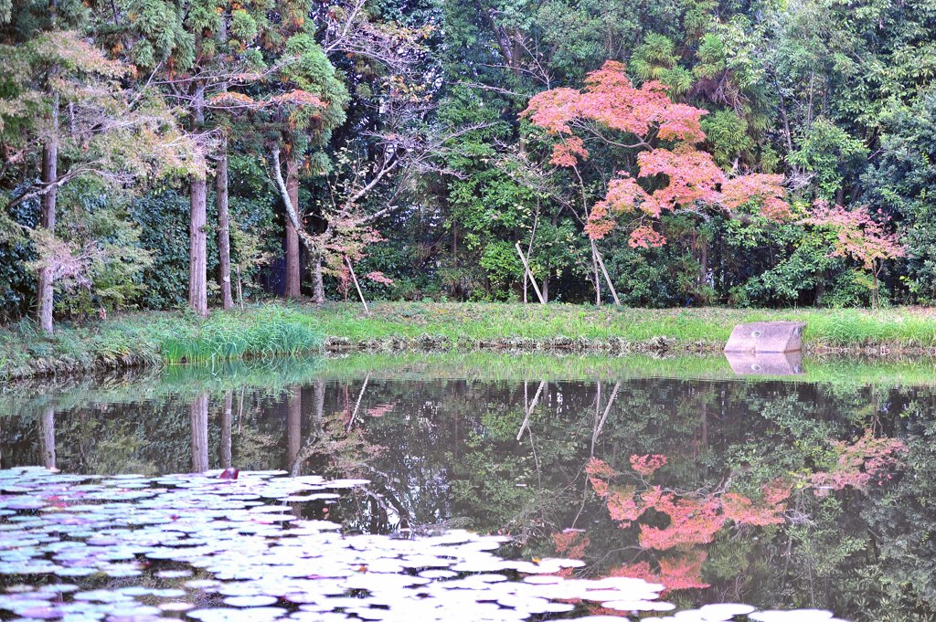 3057-06一休寺