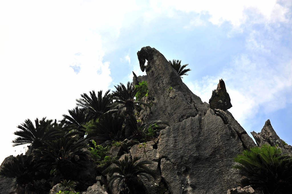 2964-05大石林山
