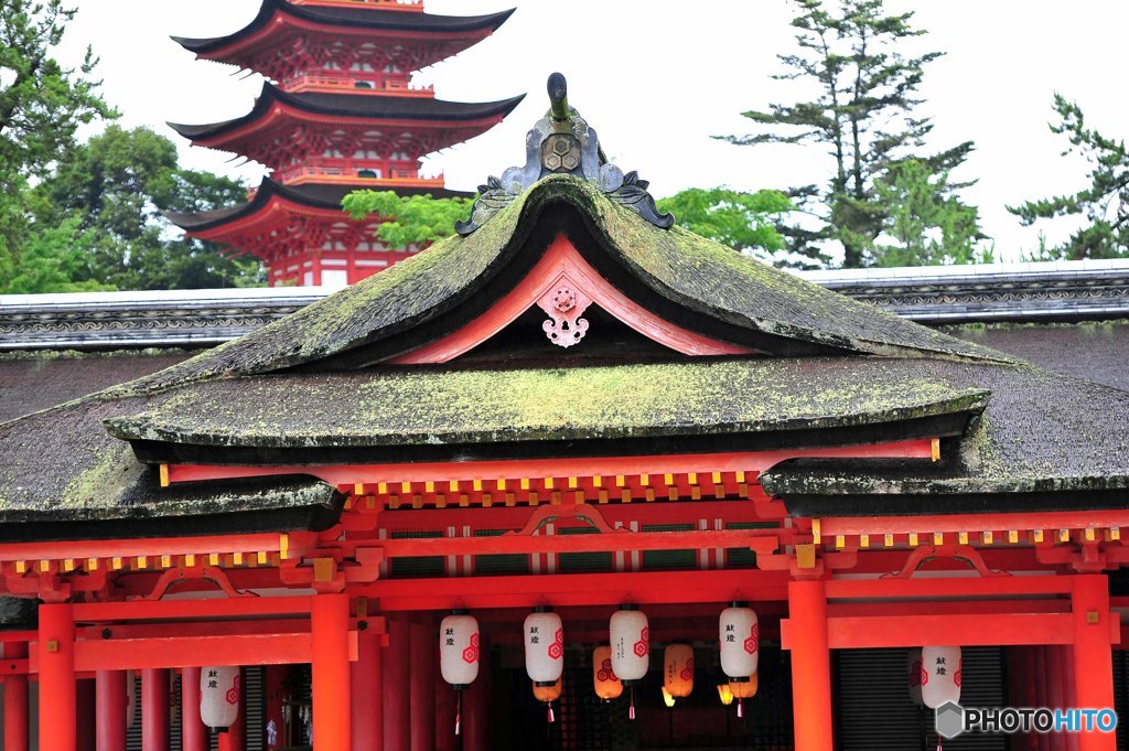 3021-厳島神社⑭