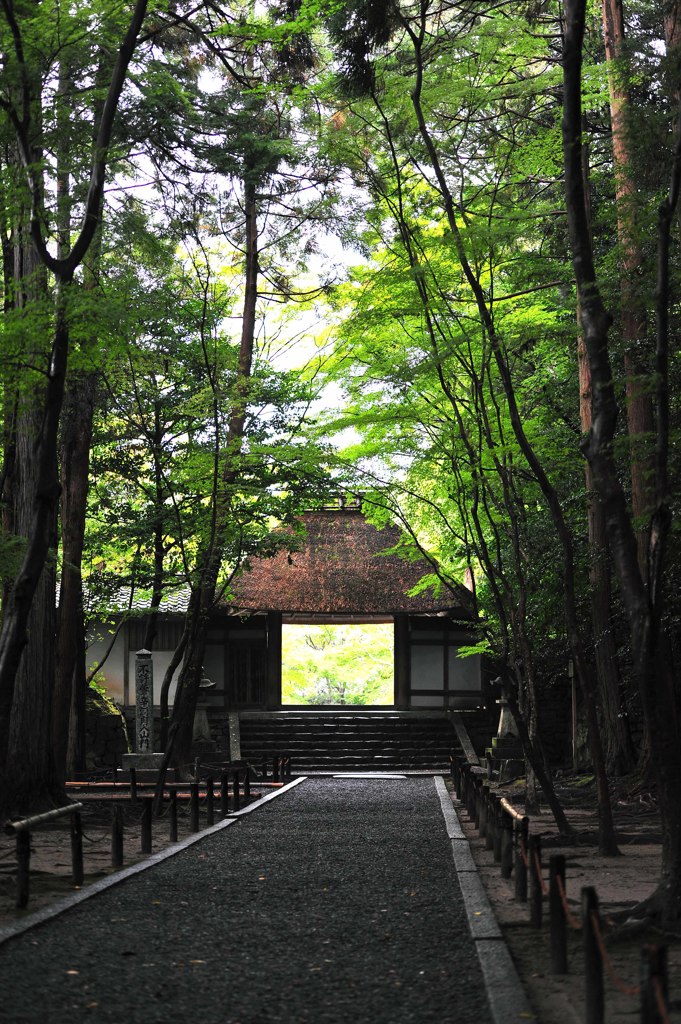 3067-16法然寺