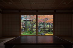 ハッとする「画面」