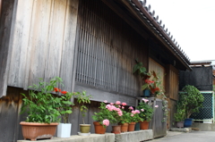 DPP_0031