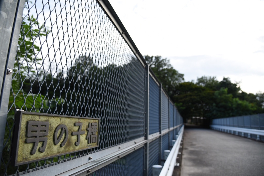 男の子なら一度は渡らなきゃ…‼︎