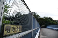 男の子なら一度は渡らなきゃ…‼︎