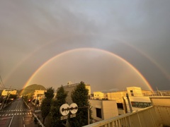 こんなに見事な虹、初めて見た！