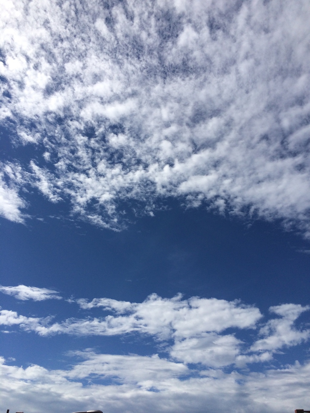 夏