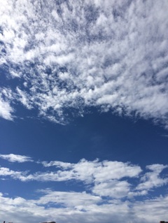 夏