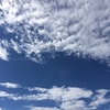 夏