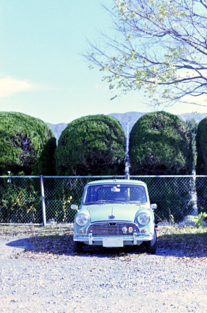 MINI_フィルムにて