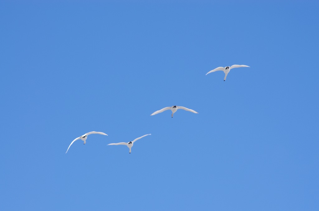 12_青空に