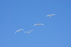 12_青空に