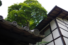 02_枇杷の湯