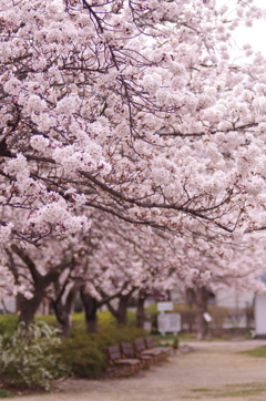 公園にて_6