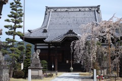 兎川寺_A30_1