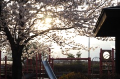 4_夕方の公園
