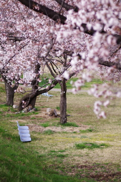 公園にて_2