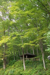 けやきの森自然園_2