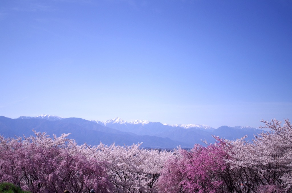 弘法山_M28_1
