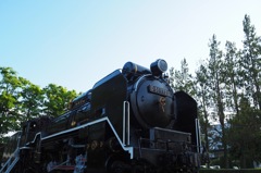 D51_2