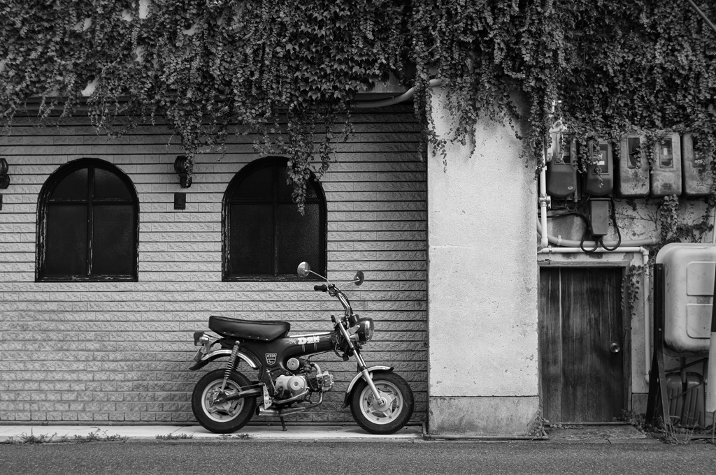 DAX HONDA ST50