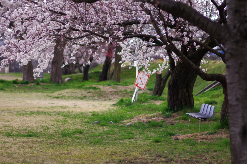 公園にて_5